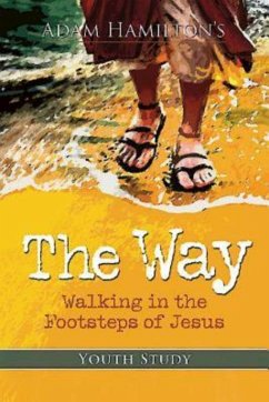 The Way: Youth Study (eBook, ePUB) - Hamilton, Adam