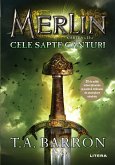 Merlin (eBook, ePUB)