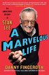 A Marvelous Life - Bild 1