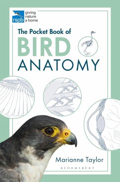 The Pocket Book of Bird Anatomy (eBook, PDF) - Taylor, Marianne