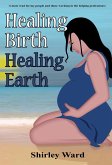 Healing Birth Healing Earth (eBook, ePUB)
