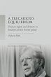 A precarious equilibrium (eBook, ePUB) - Bild 1