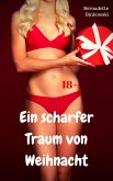 Ein scharfer Traum von Weihnacht (eBook, ePUB)