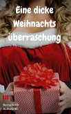 Eine dicke Weihnachtsüberraschung (eBook, ePUB)