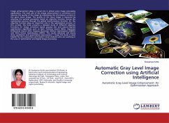 Automatic Gray Level Image Correction using Artificial Intelligence