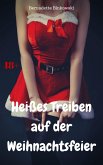 Heißes Treiben auf der Weihnachtsfeier (eBook, ePUB)