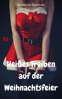 Cover Heißes Treiben auf der Weihnachtsfeier (eBook, ePUB)