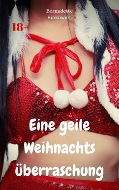 Cover Eine geile Weihnachtsüberraschung (eBook, ePUB)