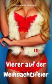 Vierer auf der Weihnachtsfeier (eBook, ePUB)