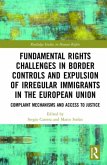 Fundamental Rights Challenges in Border Controls and Expulsion of Irregular Immigrants in the European Union