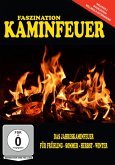 Das Kaminfeuer