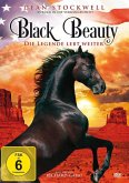 American Black Beauty