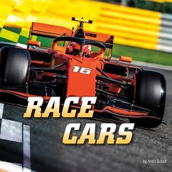 Race Cars - Schuh, Mari
