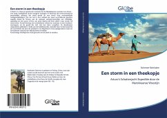 Een storm in een theekopje - Katekaine, Solomon