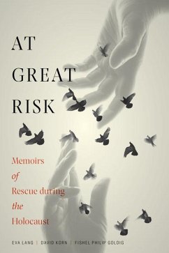 At Great Risk - Goldig, Fishel; Korn, David; Lang, Eva