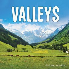 Valleys - Amstutz, Lisa J.