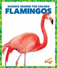 Flamingos - Klepeis, Alicia Z