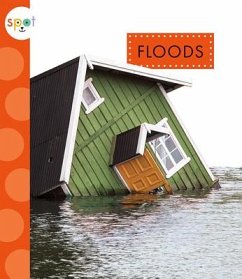 Floods - Suen, Anastasia