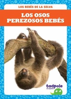 Los Osos Perezosos Bebés (Sloth Babies) - Nilsen, Genevieve