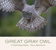 Great Gray Owl - Bannick, Paul