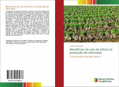 Benefícios do uso do silício na produção de olerícolas - Medrades, Franciel