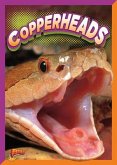 Copperheads