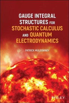 Gauge Integral Structures for Stochastic Calculus and Quantum Electrodynamics - Muldowney, Patrick