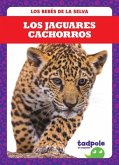 Los Jaguares Cachorros (Jaguar Cubs)