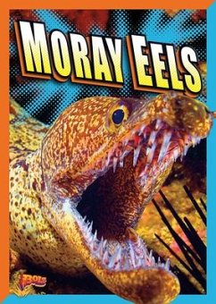 Moray Eels - Terp, Gail