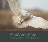 Snowy Owl