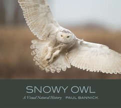 Snowy Owl - Bannick, Paul