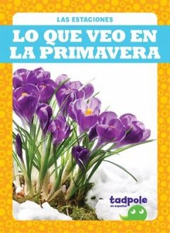 Lo Que Veo En La Primavera (What I See in Spring) - Jacks, Danielle J