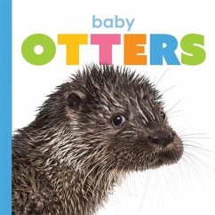 Baby Otters - Riggs, Kate