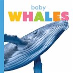 Baby Whales