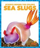 Sea Slugs