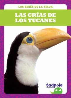 Las Crías de Los Tucanes (Toucan Chicks) - Nilsen, Genevieve