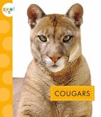 Cougars