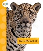 Los Jaguares