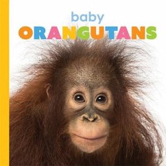 Baby Orangutans - Riggs, Kate