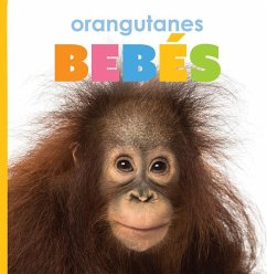 Orangutanes Bebés - Riggs, Kate