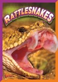 Rattlesnakes