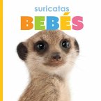 Suricatas Bebés