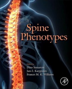 Spine Phenotypes