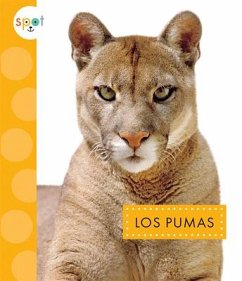 Los Pumas - Thielges, Alissa