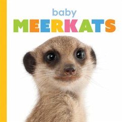 Baby Meerkats - Riggs, Kate