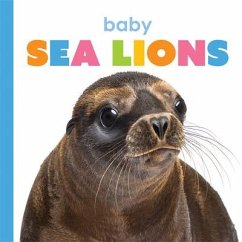Baby Sea Lions - Riggs, Kate