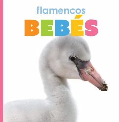 Flamencos Bebés - Riggs, Kate