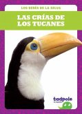 Las Crías de Los Tucanes (Toucan Chicks)