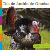 Día de Acción de Gracias