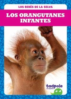 Los Orangutanes Infantes (Orangutan Infants) - Nilsen, Genevieve